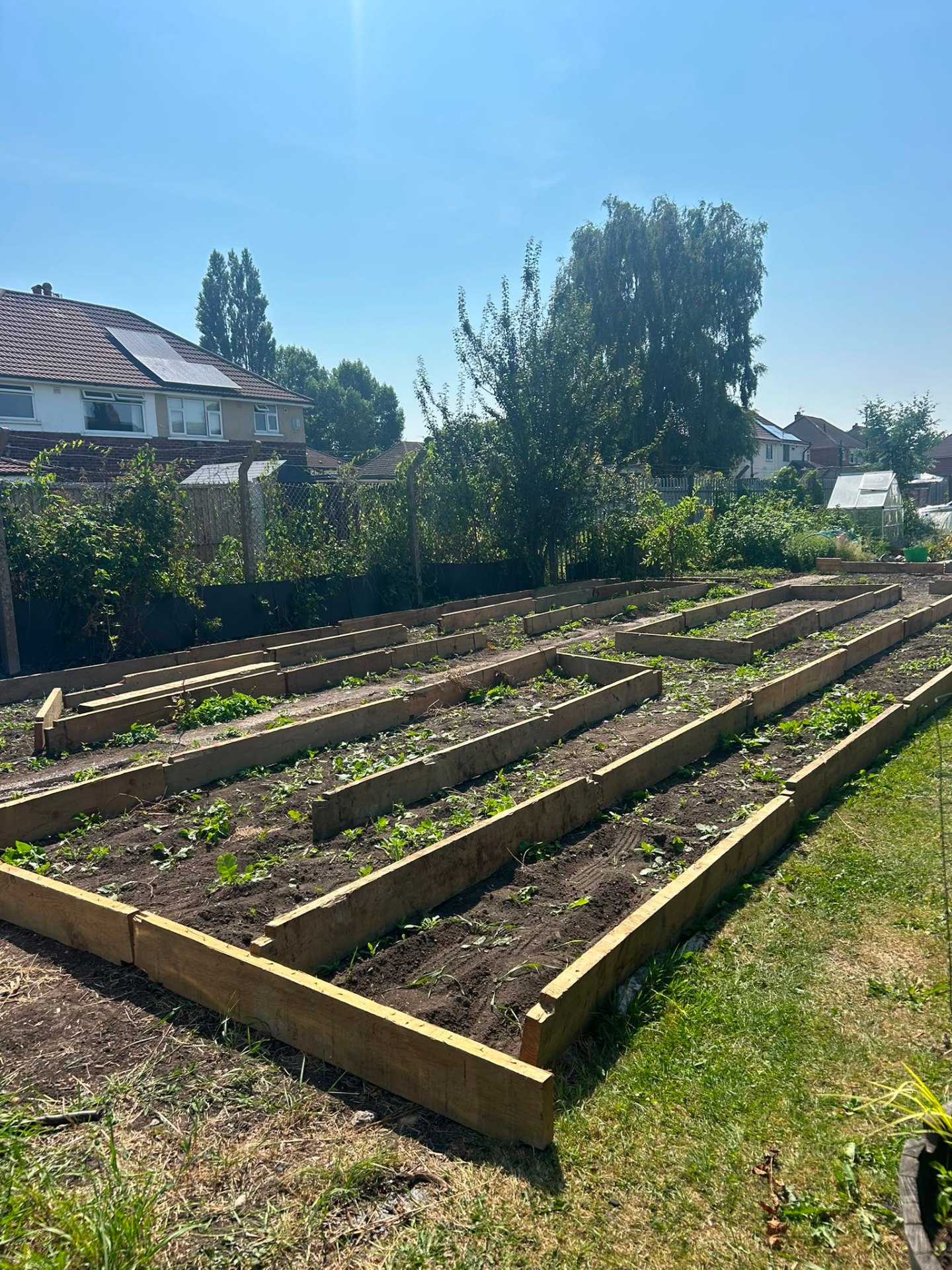 Blueprint Community Allotment raised beds built with materials donated by MKM Building Supplies