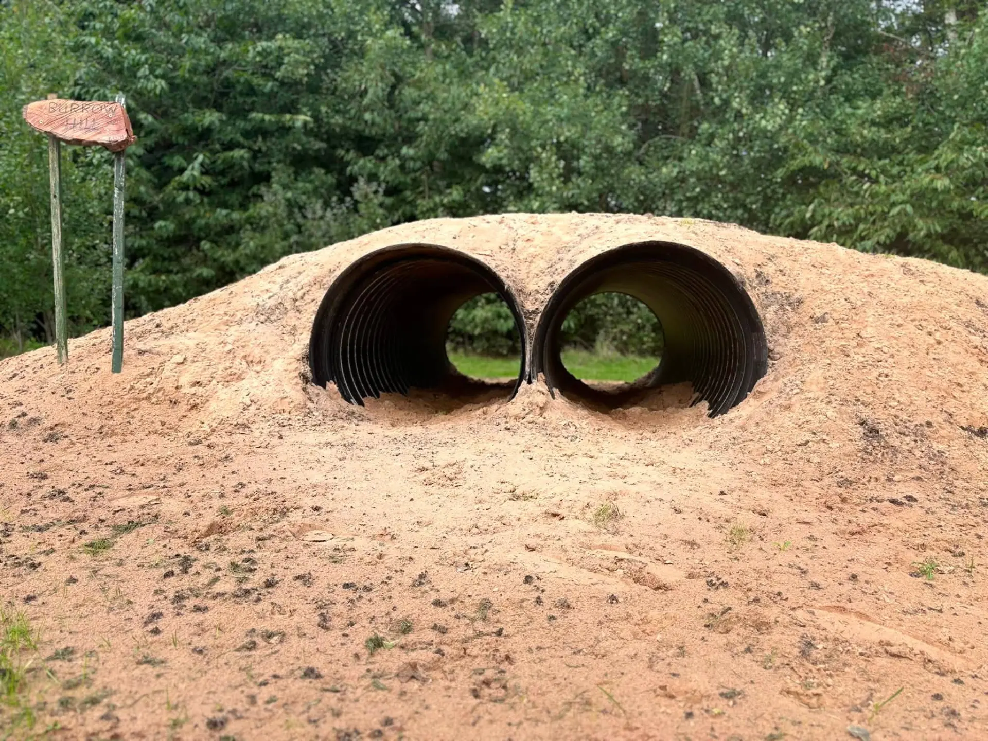 Two joined tunnels running through the Burrow Hill sand mound