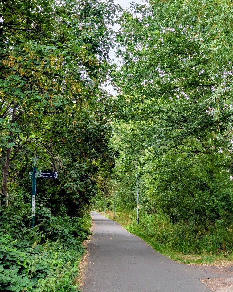 Tree-lined path on the Fallowfield Loop