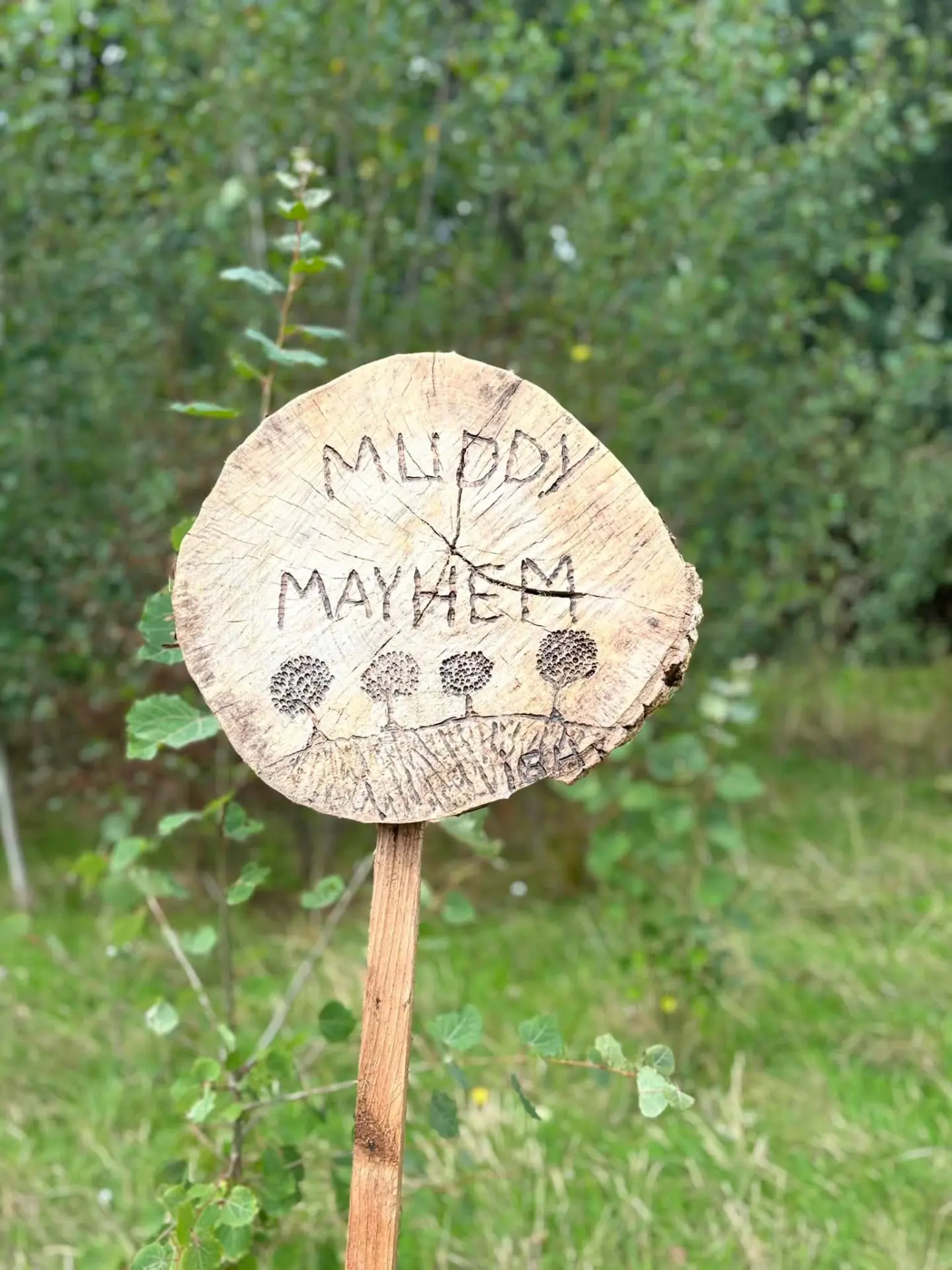Carved wooden sign for the Muddy Mayhem play area