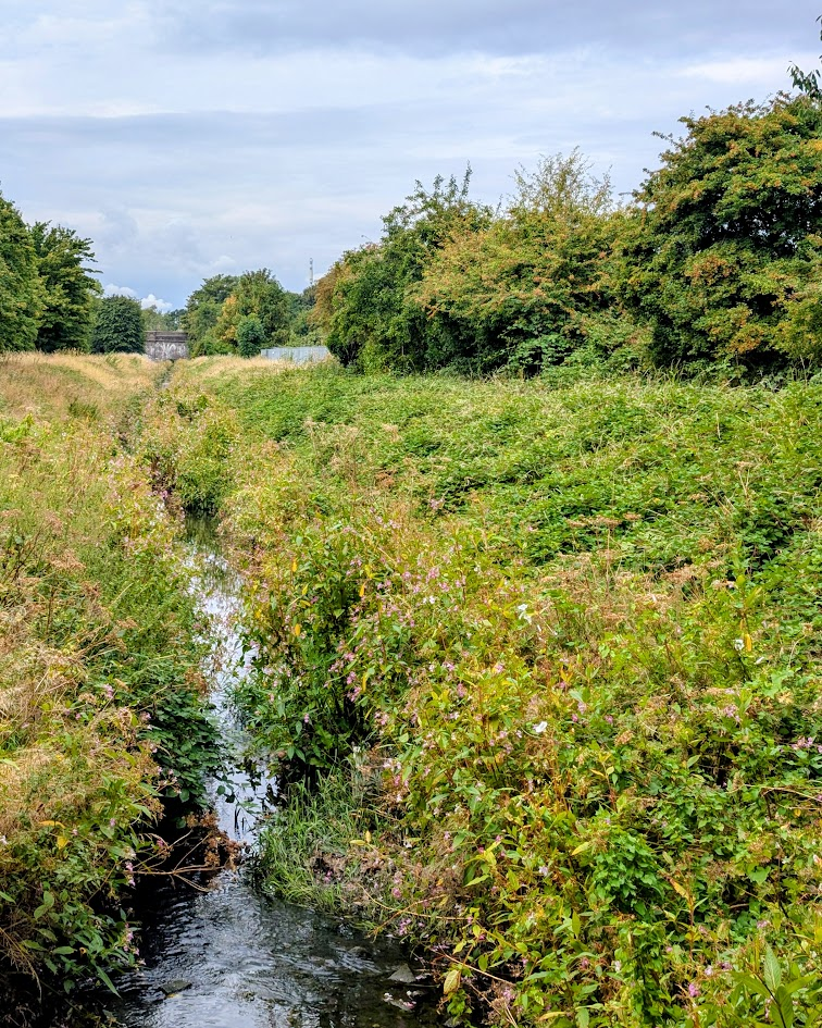 Stream and greenery beside the Fallowfield Loop