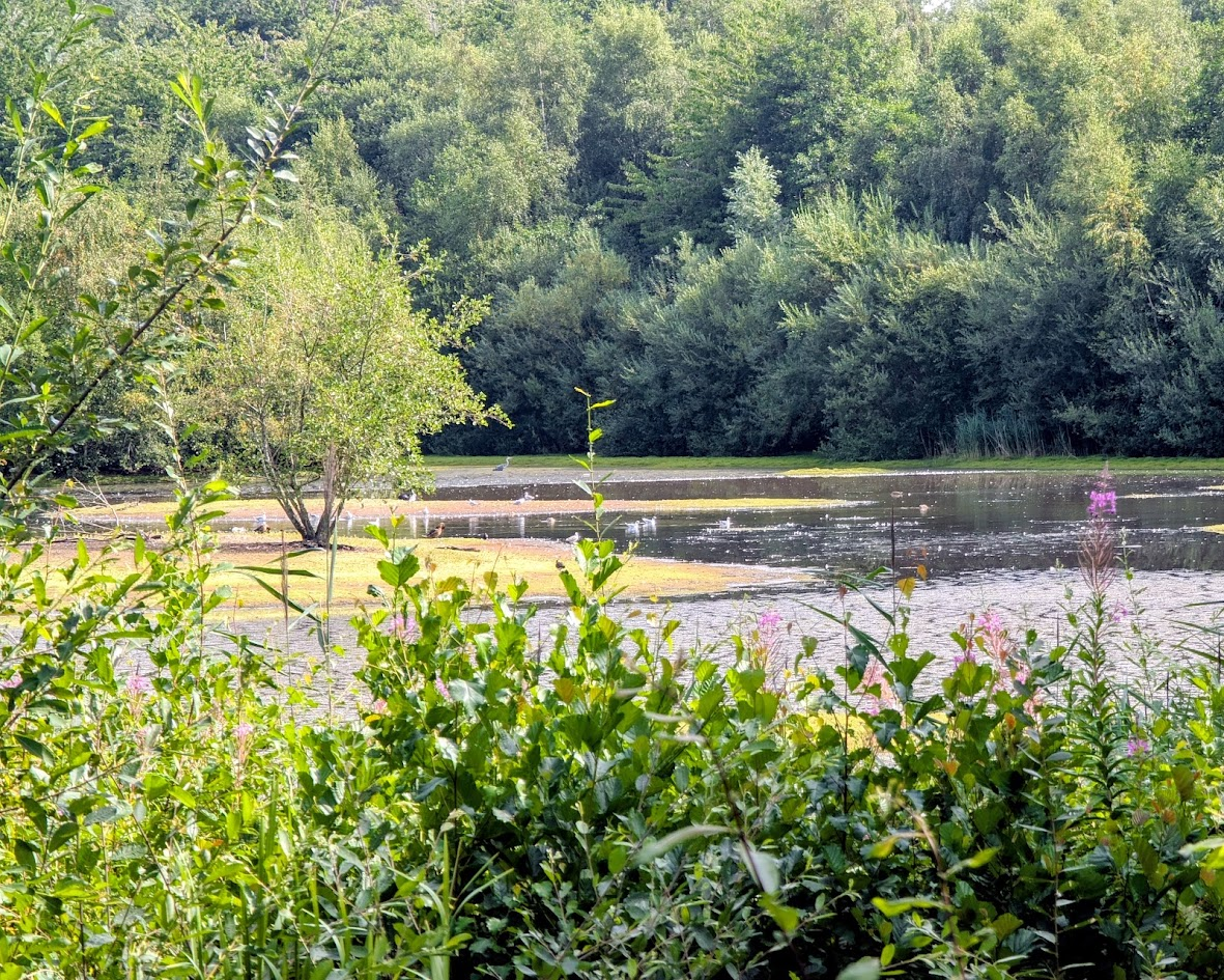 Sale Water Park Walk & Talk photo 1