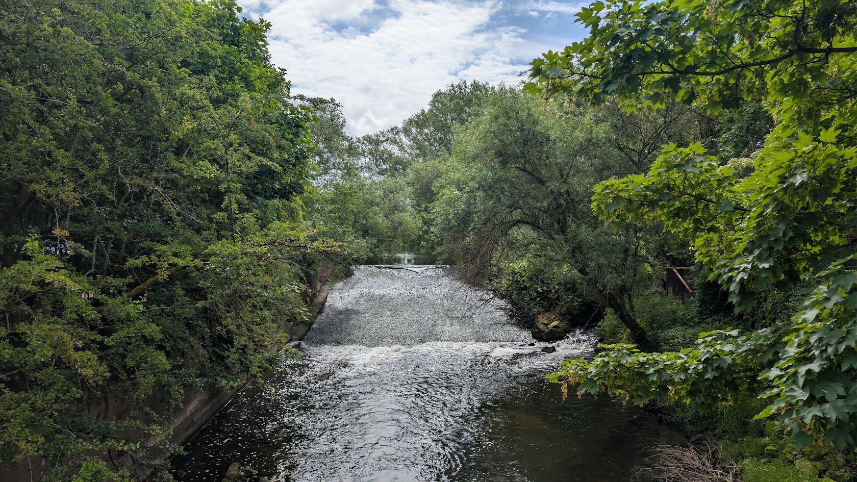 River weir surrounded by greenery at Dunham Massey